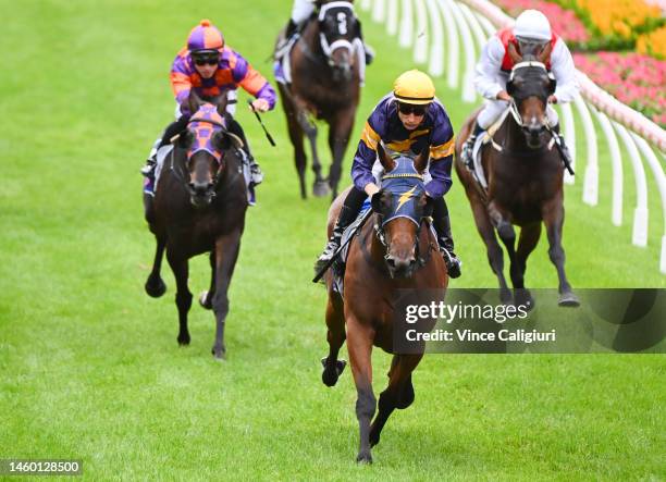 Blake Shinn riding No Secret winning Race 3, the Ascend Sales Trophies Handicap, during Melbourne Racing at Moonee Valley Racecourse on January 28,...