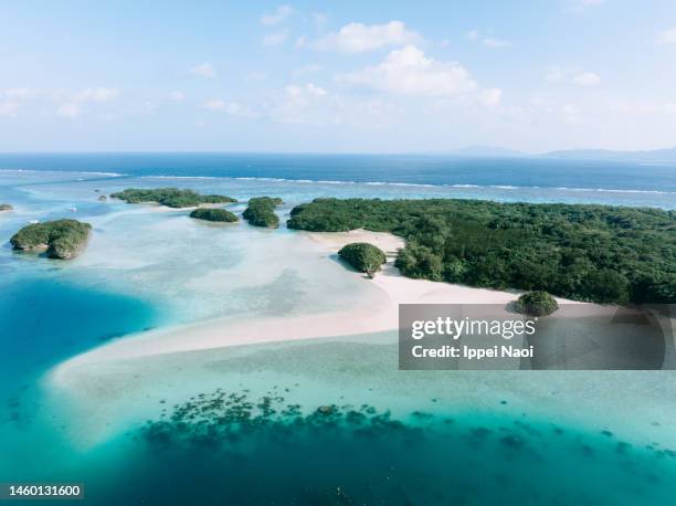 aerial view of tropical island with blue lagoon - okinawa prefecture stock pictures, royalty-free photos & images