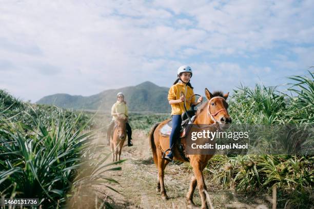 young girl riding native japanese horse - ponies stock-fotos und bilder