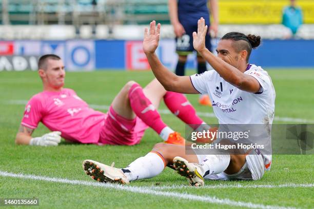 David Williams of the Glory celebrates after scoring a goal during the round 14 A-League Men's match between Wellington Phoenix and Perth Glory at...