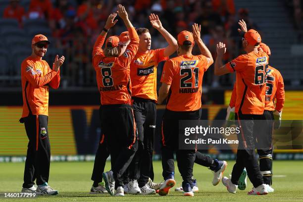 Jason Behrendorff of the Scorchers celebrates the wicket of Josh Philippe of the Sixers during the Men's Big Bash League match between the Perth...