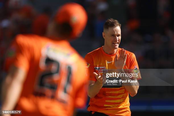 Jason Behrendorff of the Scorchers celebrates the wicket of Kurtis Patterson of the Sixers during the Men's Big Bash League match between the Perth...