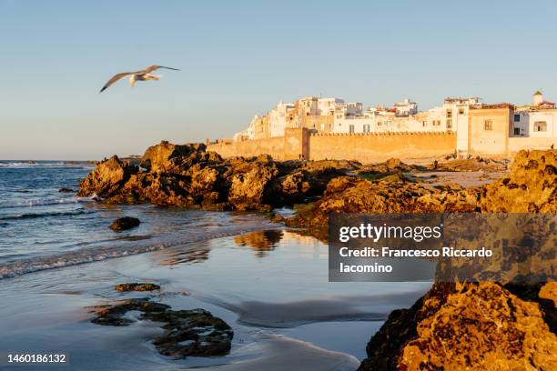 essaouira, beach and cityscape in morocco - marokko stock-fotos und bilder