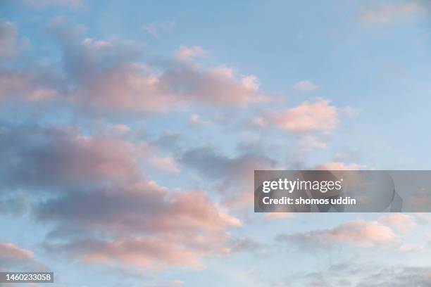 cloudscape at sunset - fluffy cloud stock pictures, royalty-free photos & images