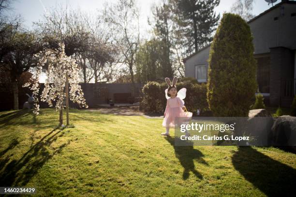 little girl in pink fairy dress with wings and bunny ears holding pink basket doing an easter egg hunt in a front yard in edinburgh, scotland, uk, during a sunny day in easter - wide angle stockfoto's en -beelden