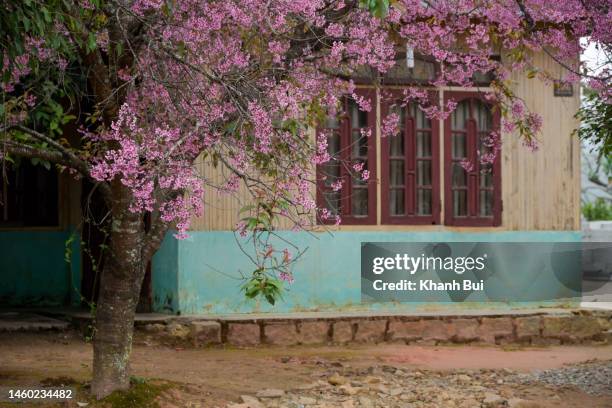 spring beside the window with the cherry blossom and beautiful scene - air taxi stock pictures, royalty-free photos & images