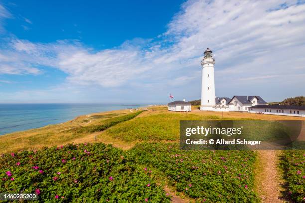 lighthouse in hirtshals denmark - jutland ストックフォトと画像