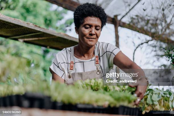 woman growing vegetables - green economy stockfoto's en -beelden