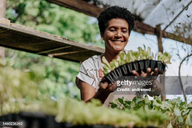 happy and smiling woman growing vegetables - environmental issues 個照片及圖片檔