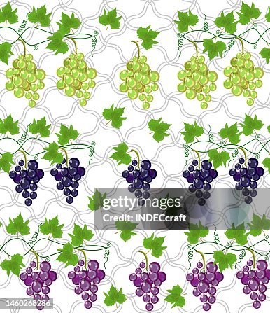Grapes vine seamless pattern Grapes vine seamless pattern