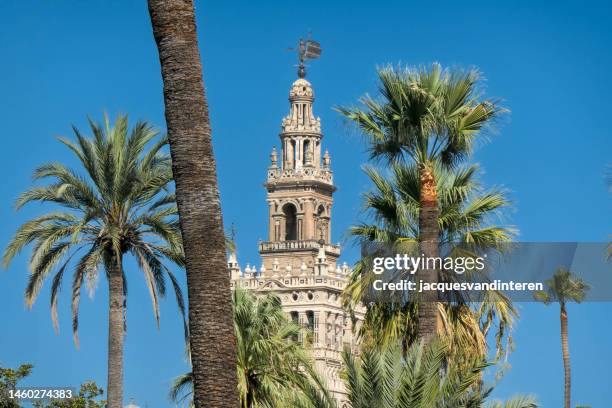 the tower of the cathedral in seville, spain - the so-called giralda - seville cathedral stock pictures, royalty-free photos & images