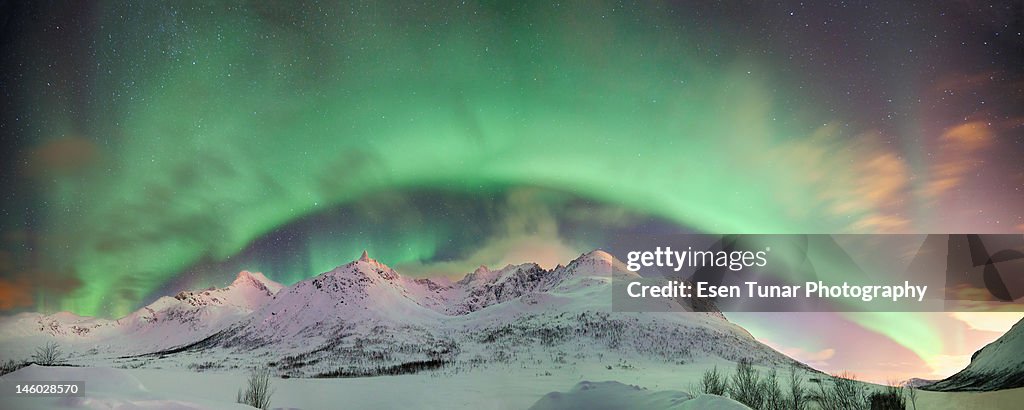 Greatest show on earth