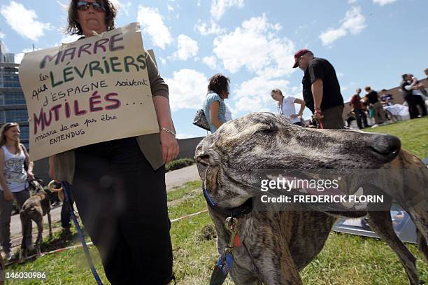 People participate with their greyhounds on June 9, 2012 in front the European Parliament in Strasbourg, eastern France, in an international march...