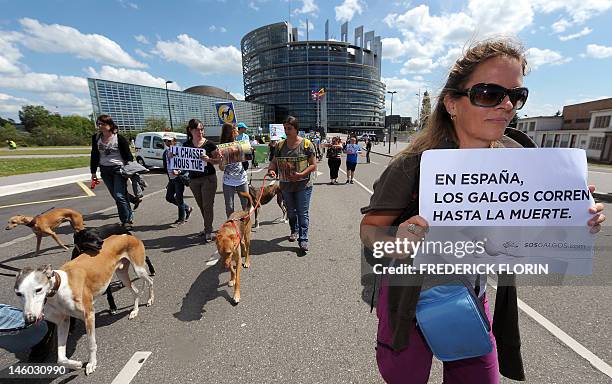 People participate with their greyhounds on June 9, 2012 in front the European Parliament in Strasbourg, eastern France, in an international march...