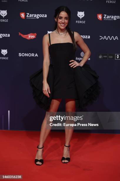 Actress Macarena Garcia poses on the red carpet prior to the gala of the X edition of the Feroz Awards, at the Auditorio de Zaragoza, on January 28...