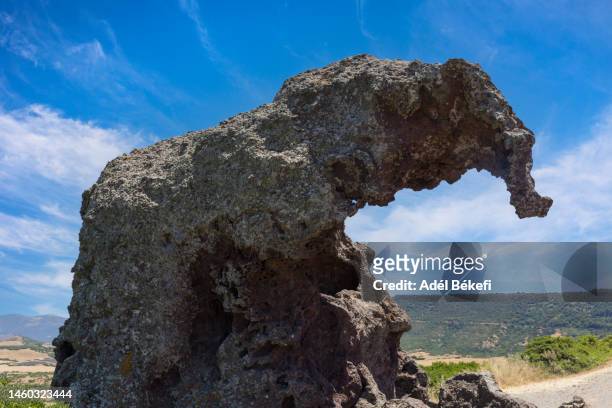 the elephant rock (roccia dell'elefante), a large mass of trachyte and andesite stone is located near castelsardo - erosion foto e immagini stock
