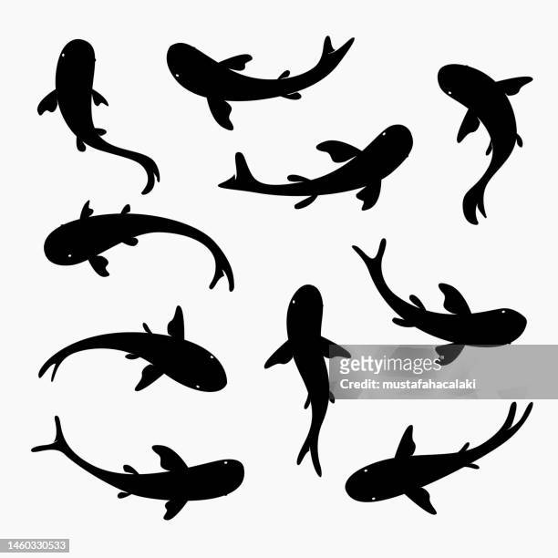 ilustrações de stock, clip art, desenhos animados e ícones de fish silhouettes - carp