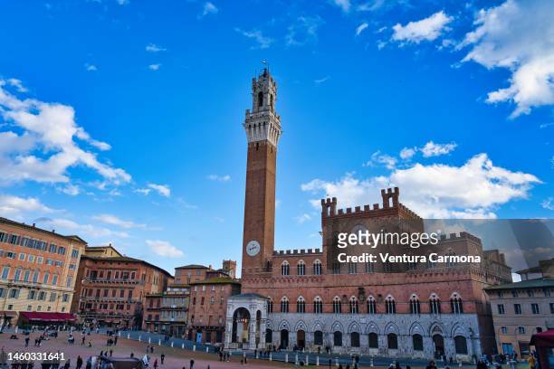 piazza del campo in siena, italy - piazza del campo stock pictures, royalty-free photos & images
