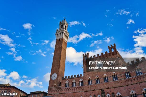 torre del mangia tower in siena - tuscany, italy. - torre del mangia stock pictures, royalty-free photos & images