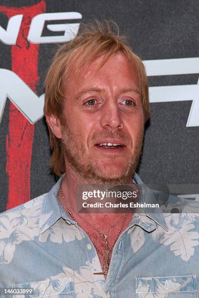 Actor Rhys Ifans attends the "The Amazing Spider-Man" New York City Photo Call at Crosby Street Hotel on June 9, 2012 in New York City.
