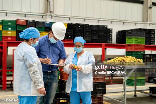 les ouvriers des usines alimentaires travaillent concentrés et vérifient la qualité des fruits. - usine agro alimentaire photos et images de collection