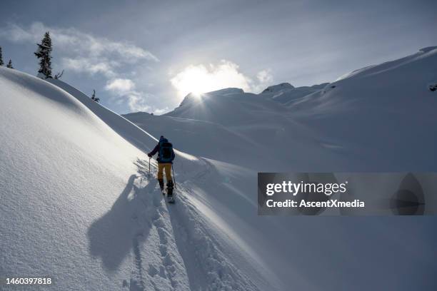 woman backcountry snowboarding - off piste stock pictures, royalty-free photos & images