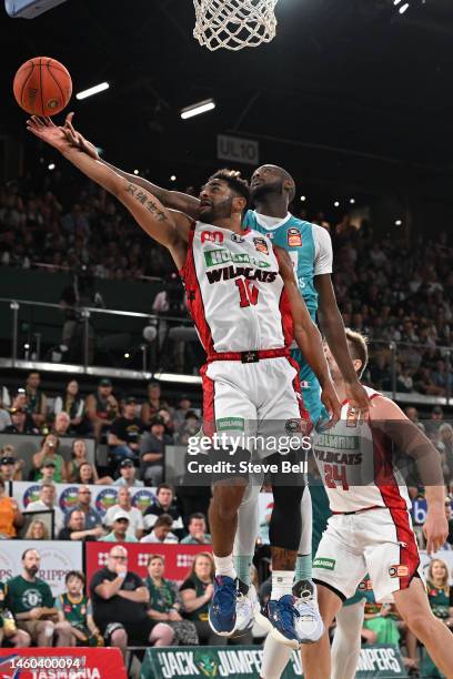 Milton Doyle of the Jackjumpers and Corey Webster of the Wildcats compete for the ball during the round 17 NBL match between Tasmania Jackjumpers and...