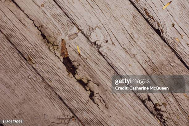 rotting wood on outdoor patio deck in need of repair - timber deck stock-fotos und bilder