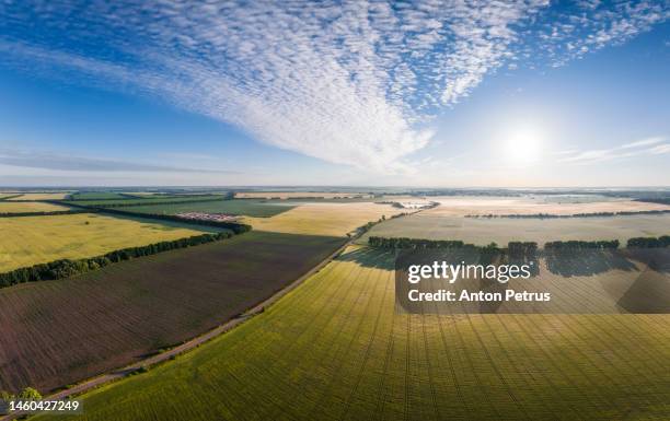 aerial view of agricultural fields at foggy dawn in summer - sunrise over water stock pictures, royalty-free photos & images