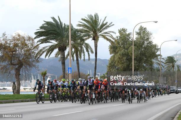 General view of the peloton passing through the streets of Palma de Mallorca City during the 32nd Challenge Ciclista Mallorca 2023 - Trofeo Playa de...
