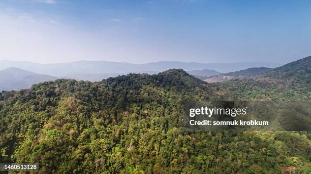 aerial view of green mountain - green mountain range stock pictures, royalty-free photos & images