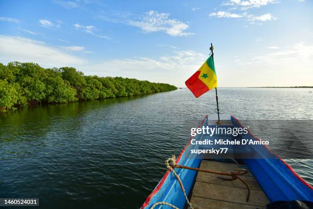 on a boat near a mangrove forest - delta photos et images de collection