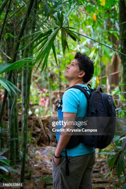man with backpack trekking in rainforest - la fortuna stock pictures, royalty-free photos & images