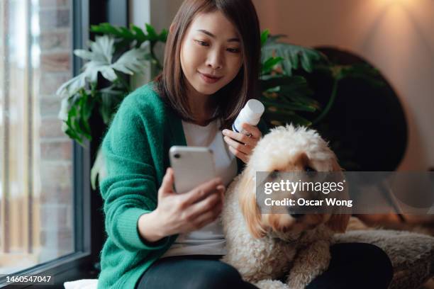 young asian woman having online medical consultation with veterinary via smart phone with her dog sitting on her lap - every day new york screening stock pictures, royalty-free photos & images