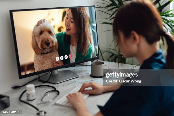 Vets Using A Computer 206 Vet Office Desk Stock Photos, High-Res Pictures, and Images - Getty ...