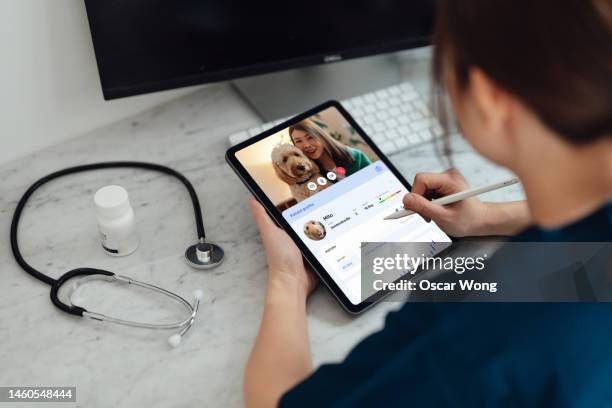 a female veterinary is have a medical consultation with her client via video call on digital tablet - pet insurance stock-fotos und bilder