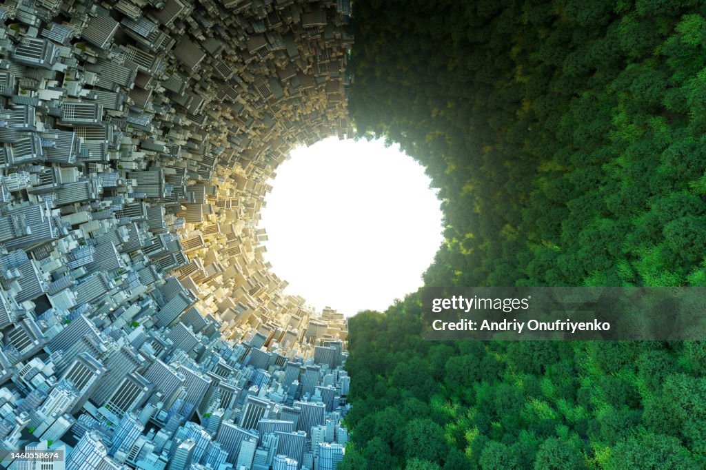Parallel world