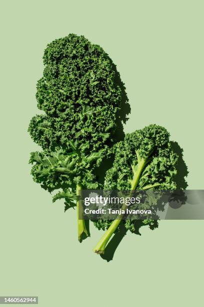 fresh green organic kale leaves on green background. healthy food, diet and detox concept. flat lay, top view - cabbage family stock pictures, royalty-free photos & images