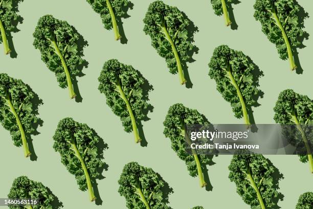 pattern of fresh green organic kale leaves on green background. healthy food, diet and detox concept. flat lay, top view - kale stock pictures, royalty-free photos & images