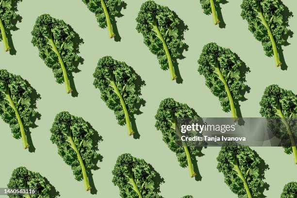 pattern of fresh green organic kale leaves on green background. healthy food, diet and detox concept. flat lay, top view - couve imagens e fotografias de stock