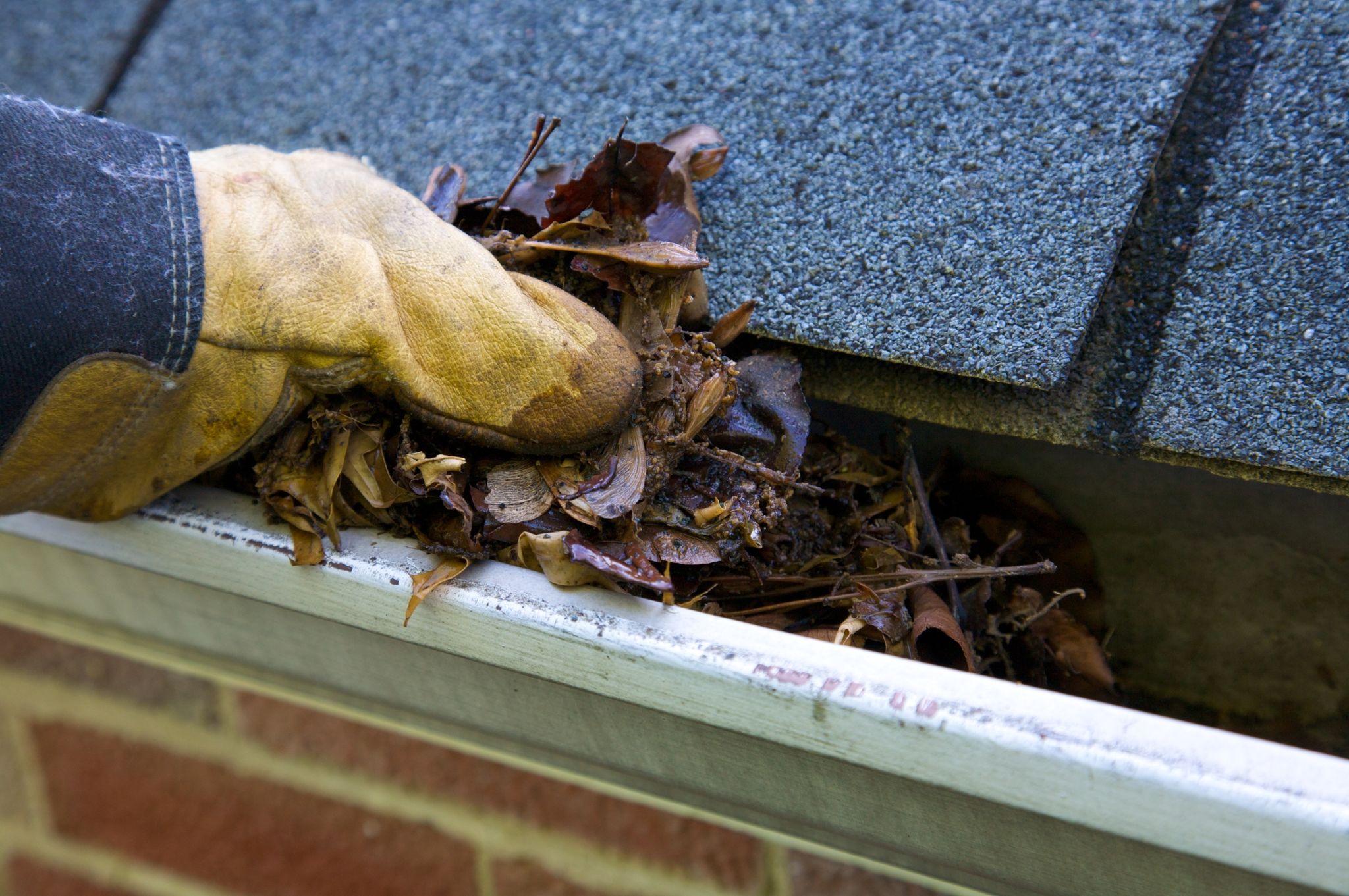 downspout cleaning