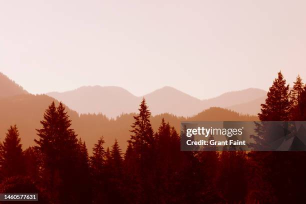 57 Grant Range Wilderness Stock Photos, HighRes Pictures, and Images