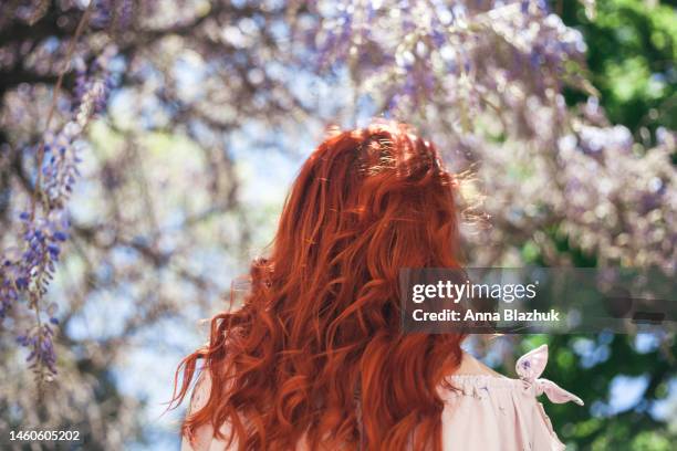 young woman with long curly red hair enjoys sunny weather in the spring. warm spring day. green grass and blossoming purple lilac in the park. - dyed red hair 個照片及圖片檔