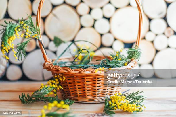 empty shopping cart on a wooden background. mimosa flowers. spring. easter basket. festive background. - easter basket - fotografias e filmes do acervo