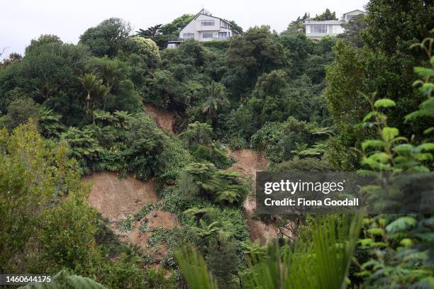 Slip viewed from South Titirangi Rd, Titirangi on January 30, 2023 in Auckland, New Zealand. New Zealand's largest city, Auckland, was hit with a...