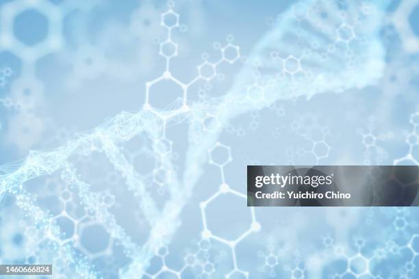 Adn Pattern 42 168 Adn Stock Photos, High-Res Pictures, and Images - Getty Images