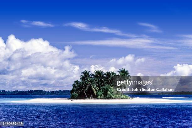 indonesia, island in the mentawai islands - mentawai islands stock pictures, royalty-free photos & images