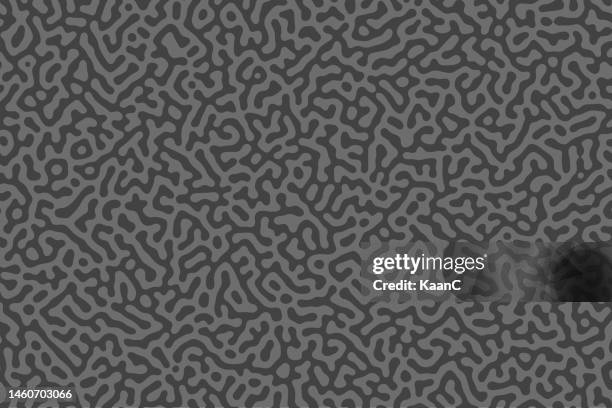 Abstract Turing Patterns Turing Pattern Photos and Premium High Res Pictures - Getty Images