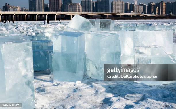 transparency ice - limites du terrain - fotografias e filmes do acervo