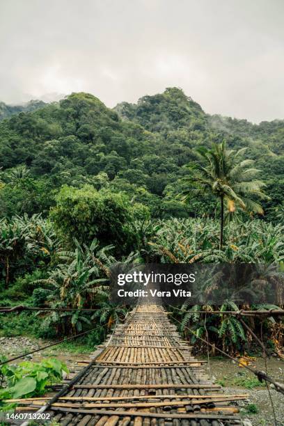 green jungle landscape with wooden bridge at tropical forest in flores island - bali volcano stock pictures, royalty-free photos & images